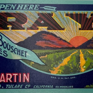 Vintage Rayo Brand Grapes Crate Label: California Sunrise Graphic