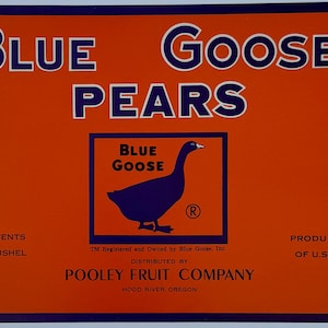 Vintage 1960s Blue Goose Pears Crate Label – Pooley Fruit Co. Hood River Oregon – Bold Orange & Blue Fruit Label 7.5 x 11 Art