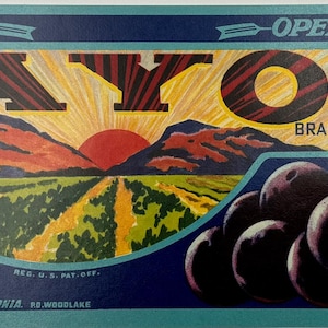 Vintage Rayo Brand Ribier Grapes Crate Label: California Sunrise