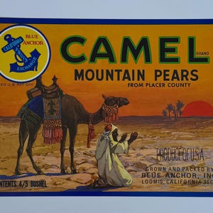 Vintage Camel Mountain Pears Crate Label: 1930s Fruit Art Decor