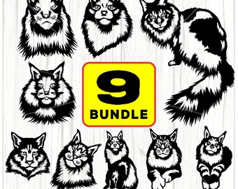 Maincoon Cat Bundle