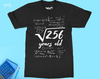 T-shirt 16e anniversaire, chemise racine carrée de 256, t-shirt 16 ans, haut de fête d'anniversaire seizième maths humour, cadeaux 16e anniversaire pour garçons filles
