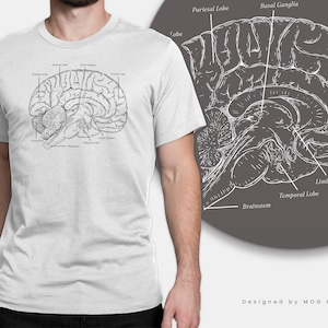 Anatomical Brain Anatomy T-Shirt Biology Neuroanatomy Medical Brain Science Gift | Tshirt for Doctor Biologist Present | Unisex Top