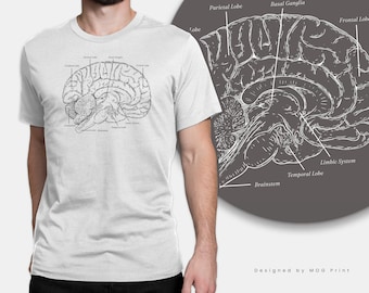 Anatomical Brain Anatomy T-Shirt Biology Neuroanatomy Medical Brain Science Gift | Tshirt for Doctor Biologist Present | Unisex Top