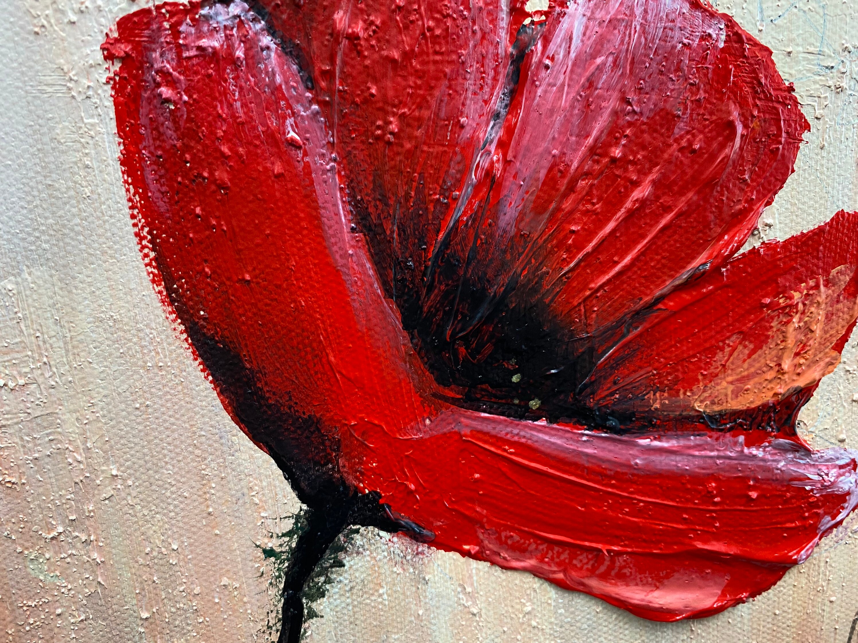 ポピー　水彩画 ポピーの花 . poppy flower a watercolor painting