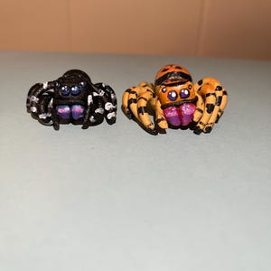 Mystical Jumping Spiders