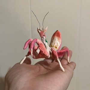 Hand Sculpted Orchid Mantis Desk Buddy