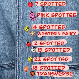 Ladybug Pins