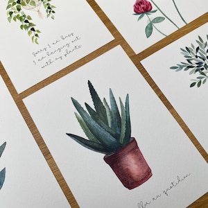 Carte “S'émerveiller au quotidien” – Illustration d’un Aloe Vera en pot