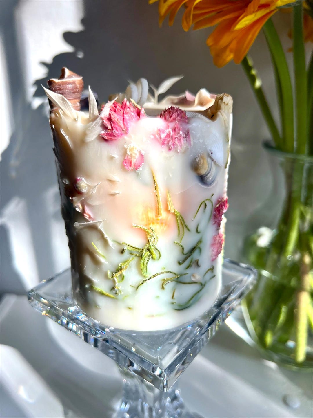 Seashell Garden