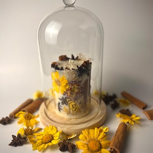 Fall Spice Botanical Candle – Hot Apple Pie Scent immagine 1