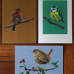 Tarjetas de felicitación enmarcables de alta calidad con ilustraciones de pájaros irlandeses, adecuadas para cualquier ocasión. En blanco por dentro. Se vende en paquetes de 6 (2 de cada uno).