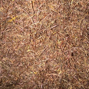 Organic Cornsilk (Zea mays) Dried Herb