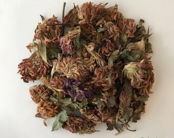 Bio Rote Kleeblumen (Trifolium pratense) Getrocknetes Kräuterkraut