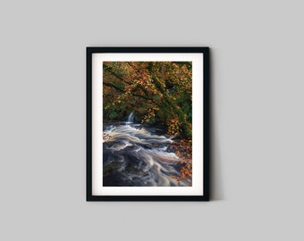 Rushing waters and Golden leaves at Glenariff, Landscape Photography Print