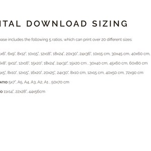 May include: A text-based chart showing different aspect ratios for digital downloads, including the corresponding measurements in inches and centimeters. The ratios listed are 2:3, 3:4, 4:5, 5:7 (ISO), and 11x14.