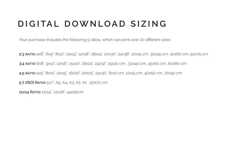 May include: A text-based chart showing different aspect ratios for digital downloads, including the corresponding measurements in inches and centimeters. The ratios listed are 2:3, 3:4, 4:5, 5:7 (ISO), and 11x14.