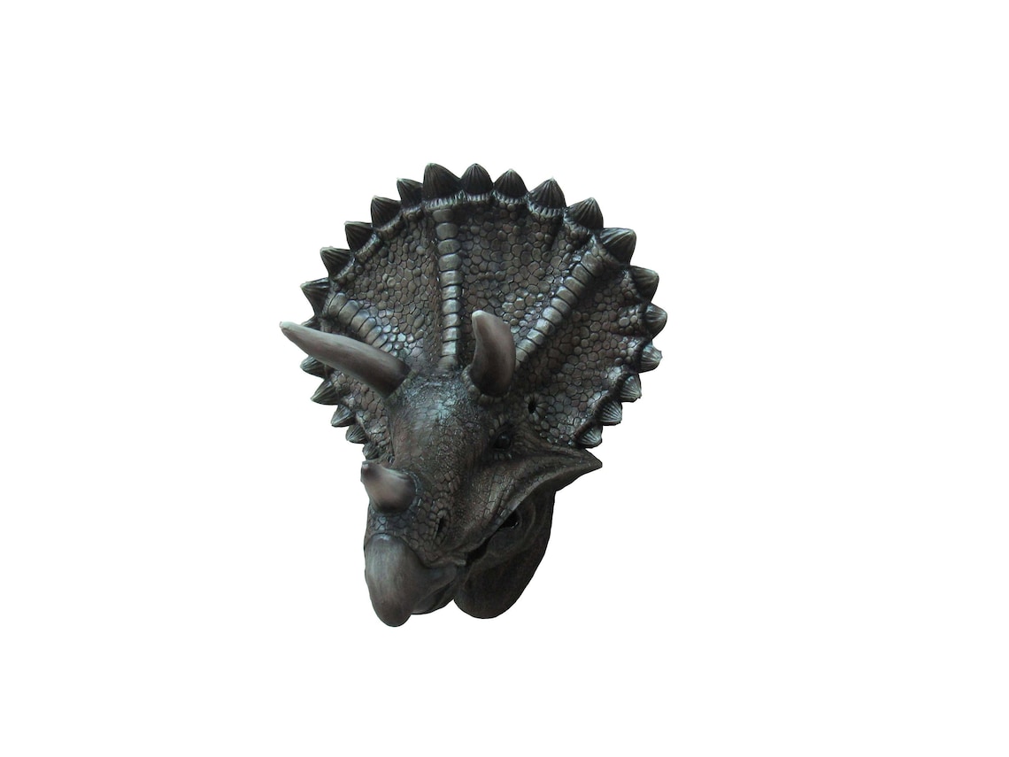 Triceratops Trophy Wall Mounted Dinosaur Head Sculpture Land Etsy