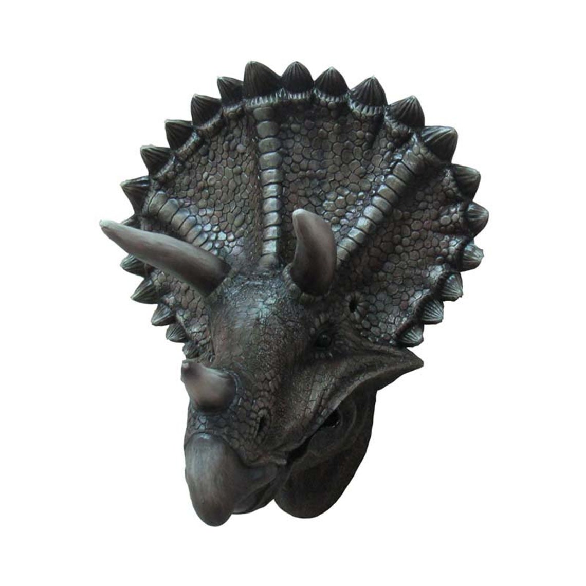 Triceratops Trophy Wall Mounted Dinosaur Head Sculpture Land Etsy