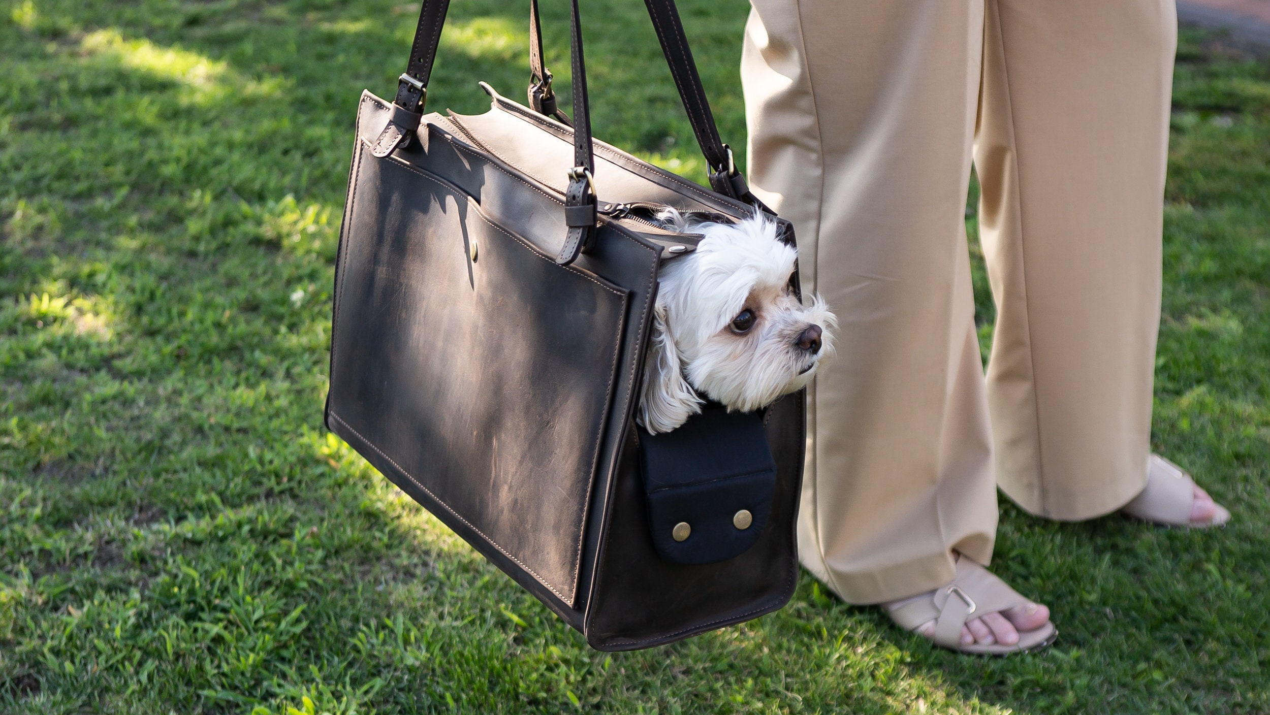 Hillwest Dog Carrier PU Leather Dog Handbag Dog Purse Cat Tote Bag Pet Cat Dog Hiking Bag Travel Bag (M, Pink)