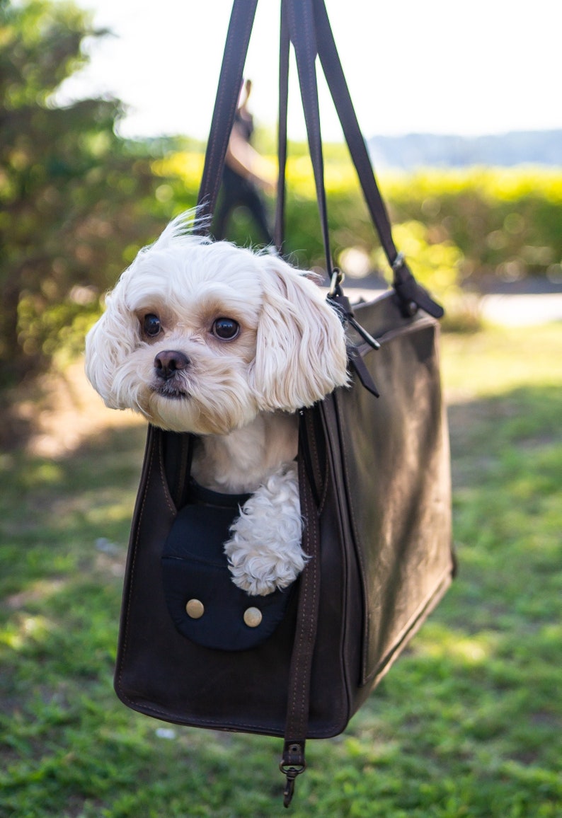 Brown leather pet carrier, Dog cat travel bag, Large tote bag, Leather pet carrier, Large leather bag with zipper, Large shops dog carrier