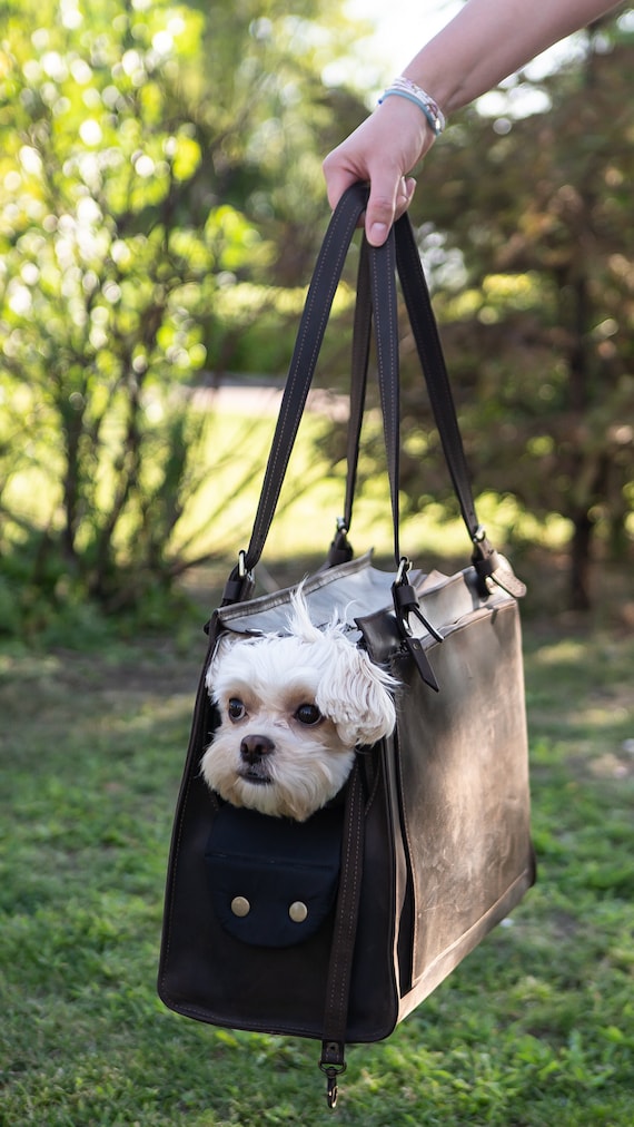 Carrying bag for dogs