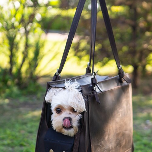 Brown leather pet carrier, Dog cat travel bag, Large tote bag, Leather pet carrier, Large leather bag with zipper, Large shops dog carrier