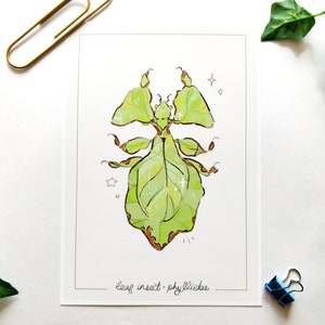 walking leaf insect print, A5 green bug, cottagecore wall decor, zoology animal giant malaysian leaf insect illustration, cute wall art
