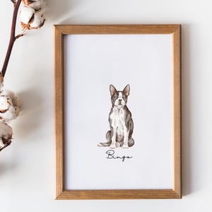 Op de afbeelding: Een ingelijst afdruk van een aquarel van een zittende Boston Terrier hond. De hond is zwart-wit met een bruine neus. De afdruk is op wit papier en heeft de naam "Bingo" eronder geschreven.