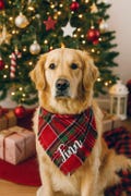 Embroidered Christmas Dog Bandana: Personalized Plaid Flannel Pet Gift