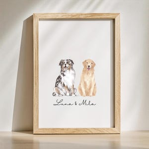 Op de afbeelding: Een aquarel schilderij van twee honden, een blue merle Australian Shepherd en een golden retriever, die naast elkaar zitten. De honden kijken naar de kijker en glimlachen. De tekst "Luna & Mila" staat onder de honden.