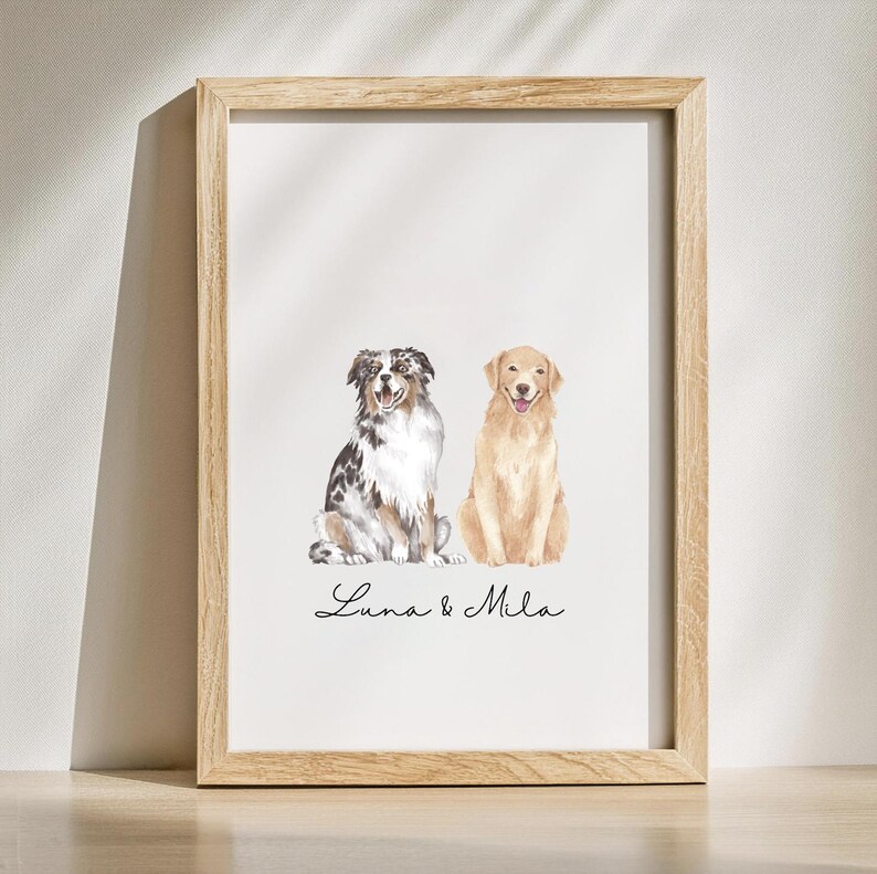 Op de afbeelding: Een aquarel schilderij van twee honden, een blue merle Australian Shepherd en een golden retriever, die naast elkaar zitten. De honden kijken naar de kijker en glimlachen. De tekst "Luna & Mila" staat onder de honden.