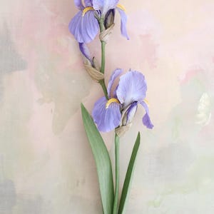Peut inclure: Une fleur d'iris en papier faite à la main avec deux fleurs dans des tons de lavande et de jaune. La fleur a des feuilles vertes et une tige brune. Le fond est un lavis doux, de style aquarelle, de rose, de pêche et de crème.