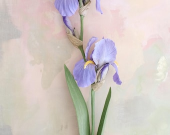 Iris barbudo de papel, centro de mesa de tallo único, botánicos de papel, flores realistas.