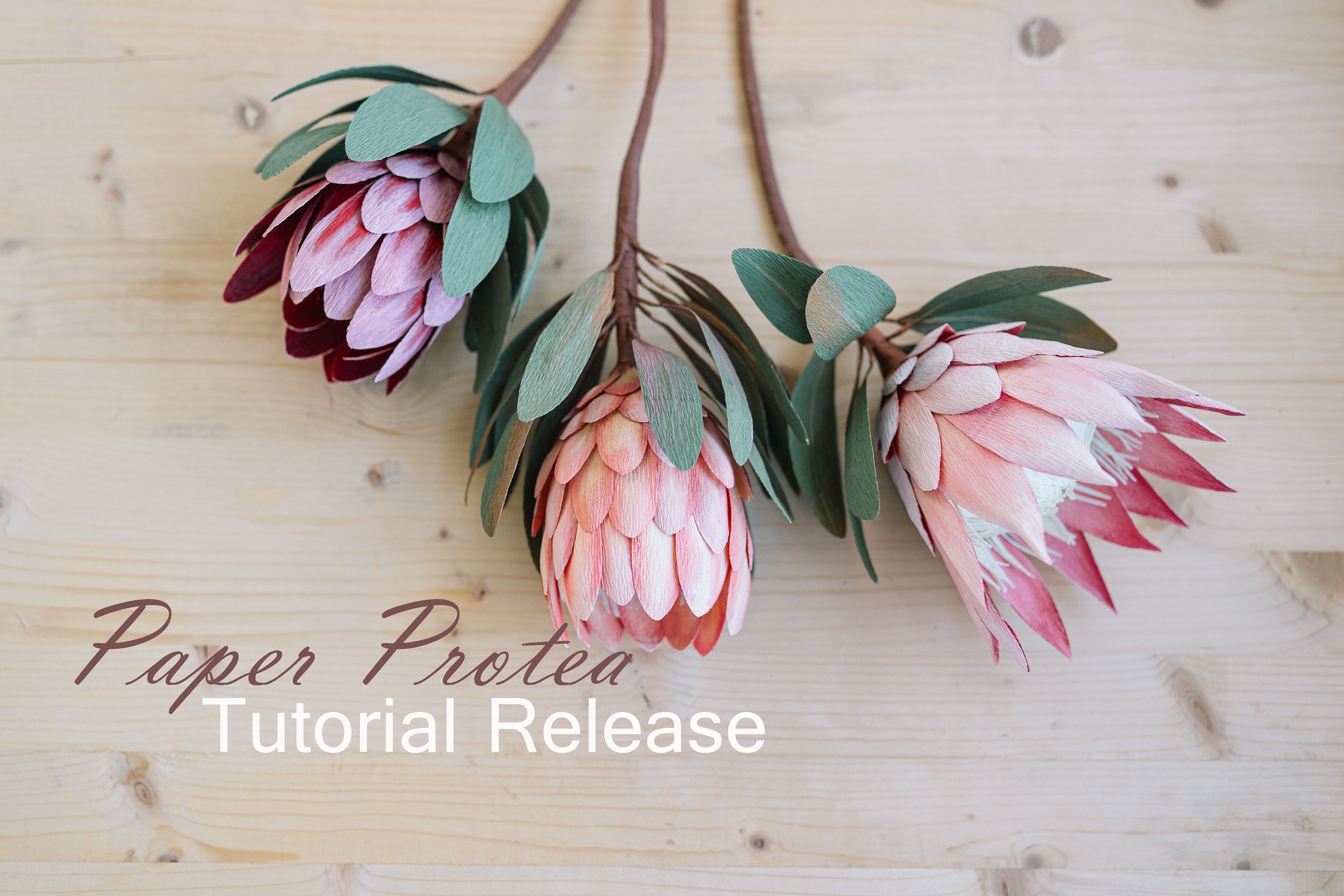 Paper Protea Tutorial Step by Step Guide How to Make a Pink Etsy Canada