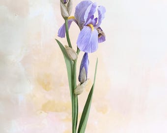 Paper bearded iris, single stem centerpiece, paper botanicals, lifelike flowers.