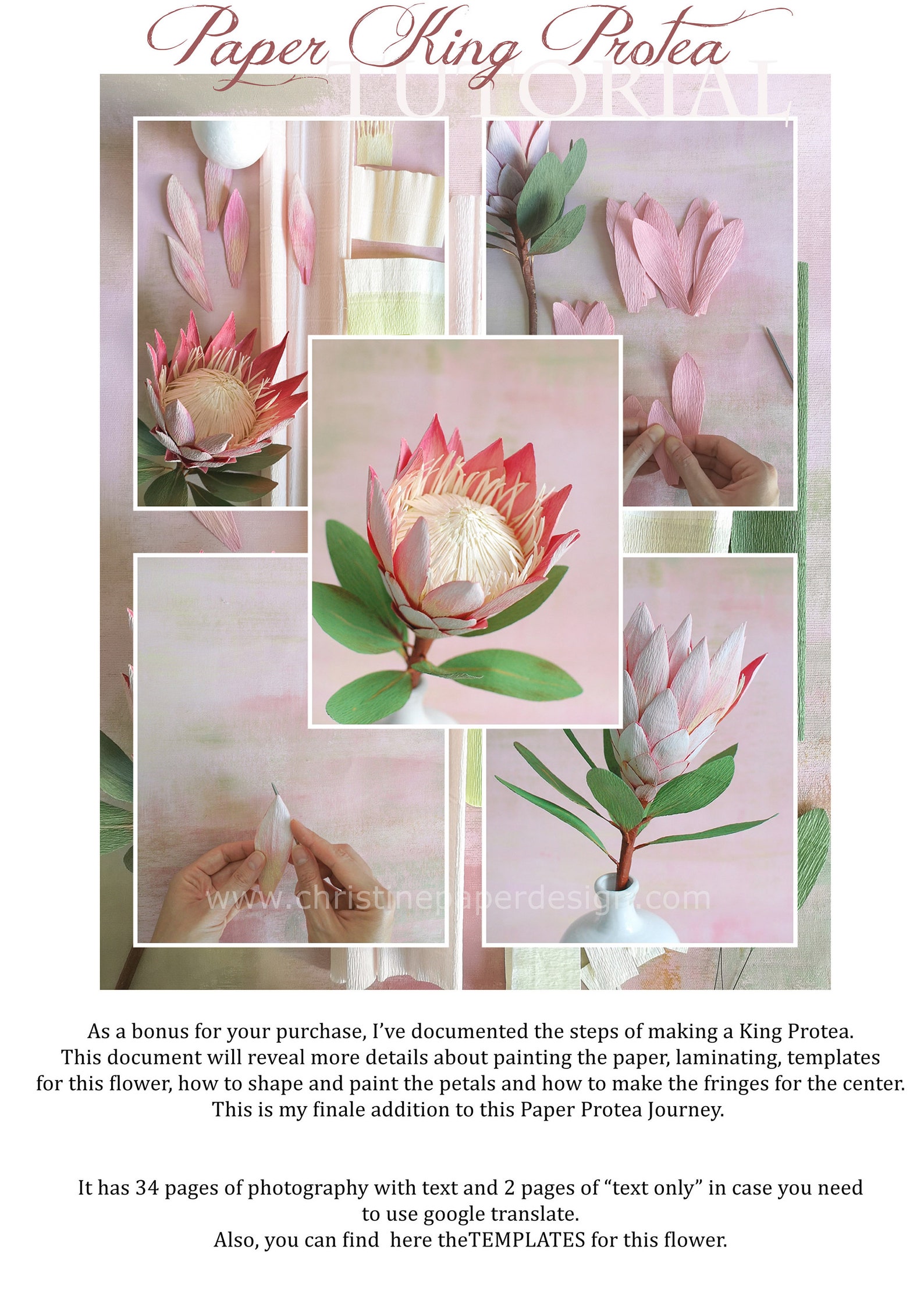 Paper Protea Tutorial Step by Step Guide How to Make a Pink Etsy