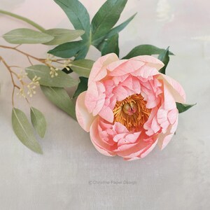 Peonia color corallo, stelo singolo con ramo di eucalipto seminato, elementi botanici in carta, realizzata a mano in carta crespa.
