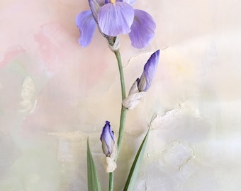 Iris barbudo de papel, centro de mesa de tallo único, botánicos de papel, flores realistas.
