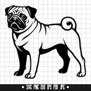 May include: Black and white silhouette of a pug dog standing with its tail curled. The pug is facing the left side of the image.