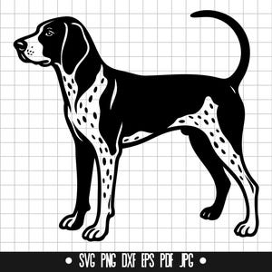 以下が含まれることがあります： 尻尾を巻いて立っているブラッドハウンドの犬の白黒シルエット。犬は左を向いており、体に斑点模様があります。