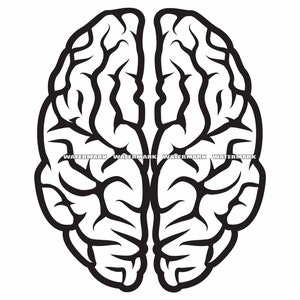 Brain SVG, Brain Cut File, Brain DXF, Brain PNG, Brain Clipart, Brain Silhouette, Brain Cricut, Brain Logo
