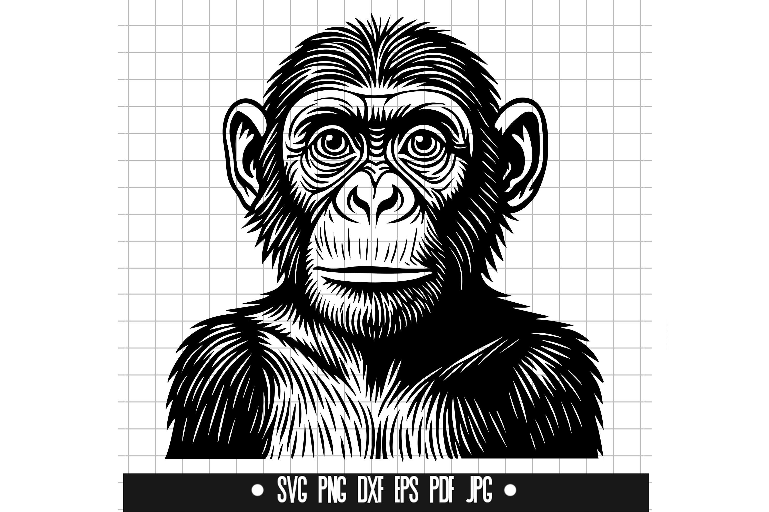 Chimpanzee SVG, Chimpanzee DXF, Chimpanzee PNG, Chimpanzee Cut
