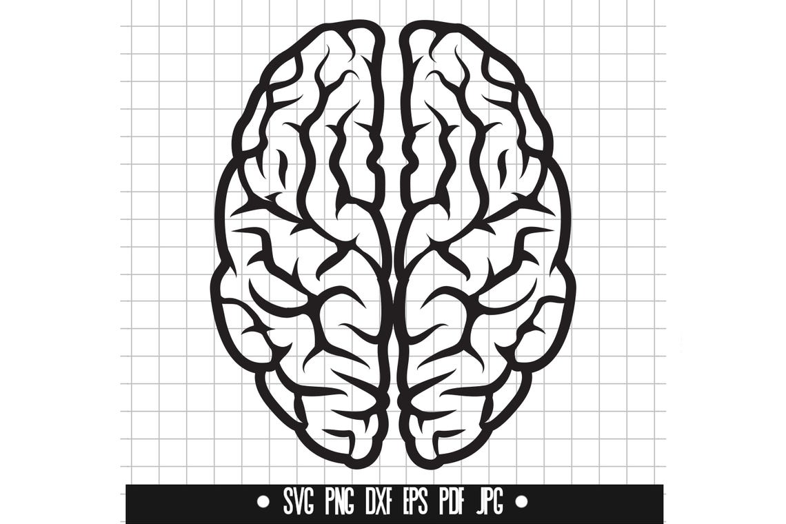 Brain Pattern Dxf Brain SVG, Brain Cut File, Brain DXF, Brain PNG, Brain Clipart, Brain ...