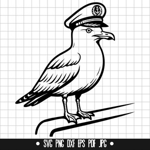 Capitaine mouette SVG, DXF mouette, mouette PNG, oiseau drôle couper fichier, Clipart, fichier Svg, Silhouette téléchargement