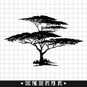 Albero Africa SVG, #2, File di taglio dell'albero Africa, Albero Africa DXF, Albero Africa PNG, Clipart dell'albero Africa, Silhouette dell'albero Africa, Albero Africa Cricut