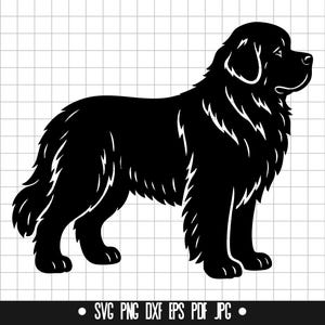 Newfoundland SVG, Newfoundland PNG, Newfoundland DXF, Newfoundland Silhouette, Newfoundland Cut File, Newfoundland Clipart, Newfoundland
