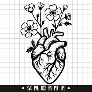 Kwiatowe Anatomiczne Serce SVG, Anatomiczne Serce DXF, Anatomiczne Serce PNG, Plik Cięty, Clipart, Plik Cyfrowy, Sylwetka, Natychmiastowe Pobieranie