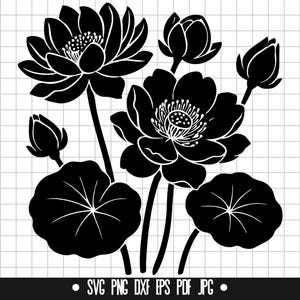 Lotus Svg, waterbloem Svg, Zen Svg, bloemen Svg, meditatie Svg, natuur Svg, vijverbloem Svg, Bloom Svg, yoga Svg