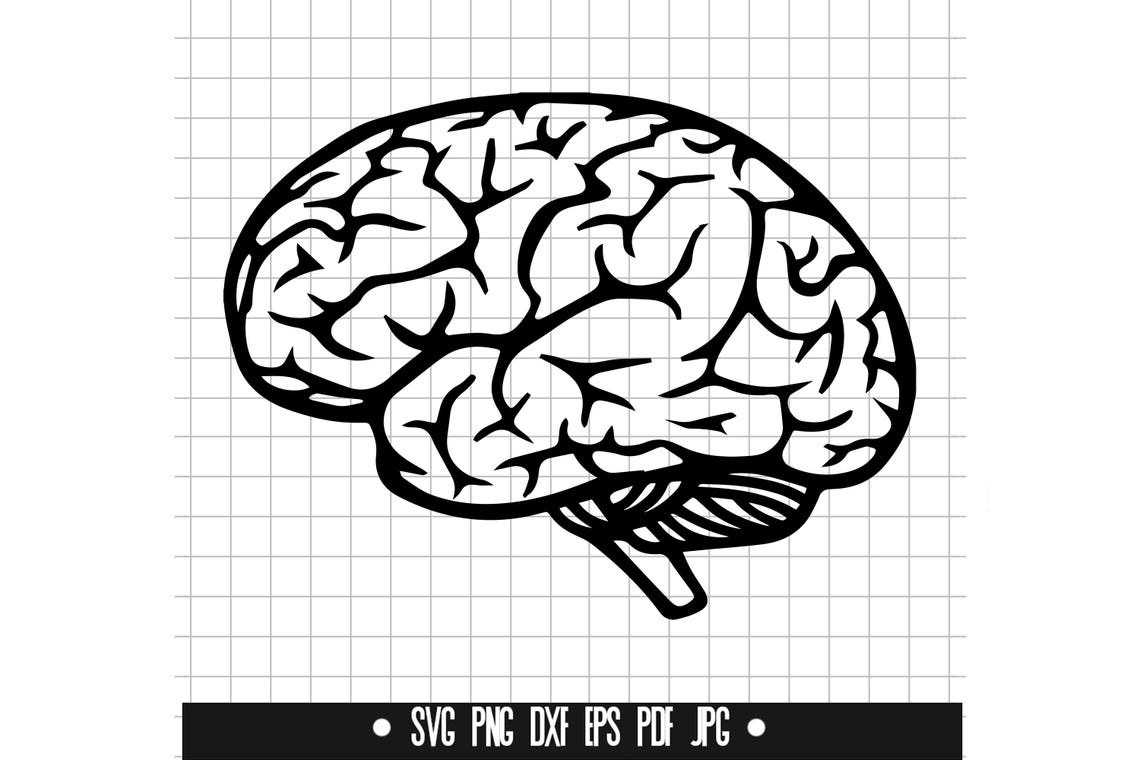 Brain SVG #2 Brain DXF, Brain PNG, Brain Clipart, Brain Silhouette ...